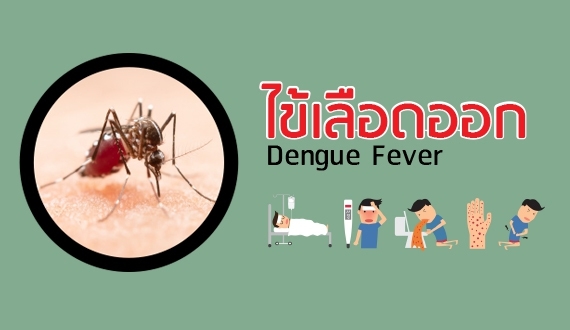 ไข้เลือดออก อาการและการรักษาในปัจจุบัน (Dengue fever)